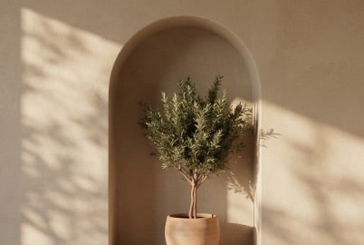 Matière naturelle et enracinement — Maison Dar Anwar